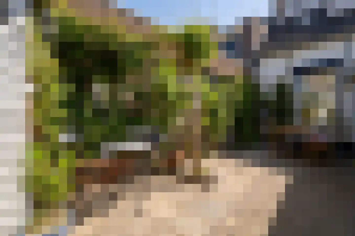 Pastoor van Beurdenstraat 87 b Tilburg thumbnail 25