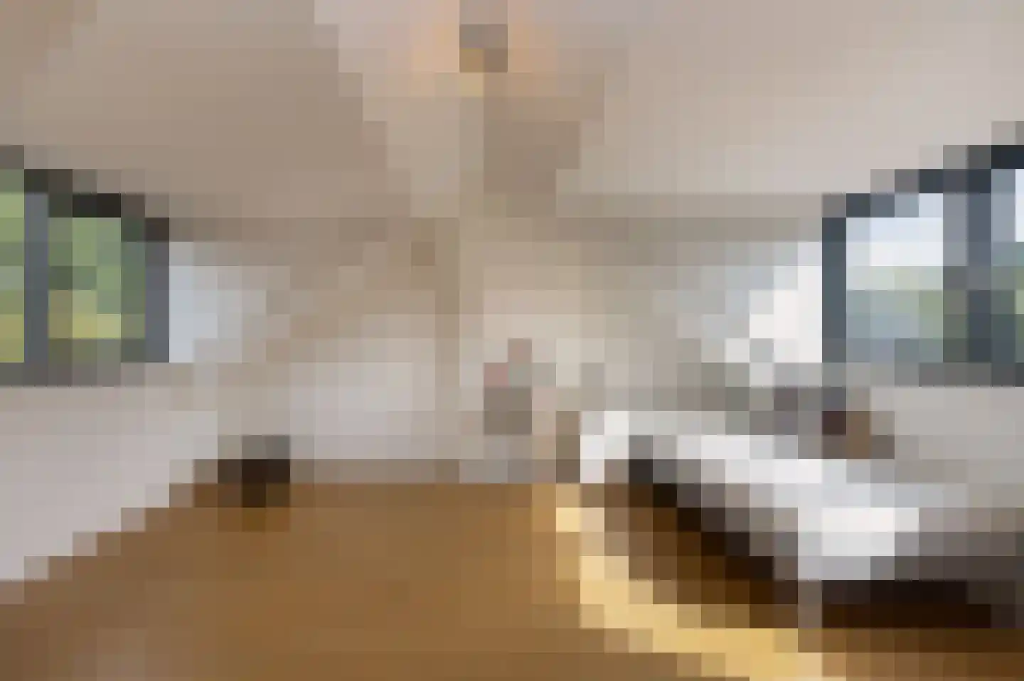 Pastoor van Blitterwijckstraat 3 Nijmegen thumbnail 25