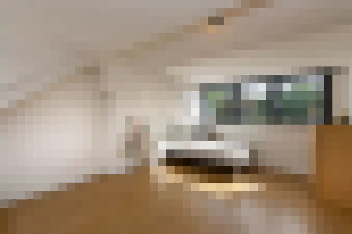 Pastoor van Blitterwijckstraat 3 Nijmegen thumbnail 26