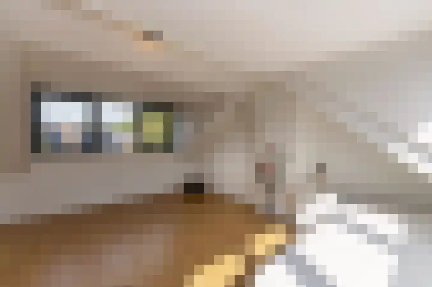 Pastoor van Blitterwijckstraat 3 Nijmegen thumbnail 27