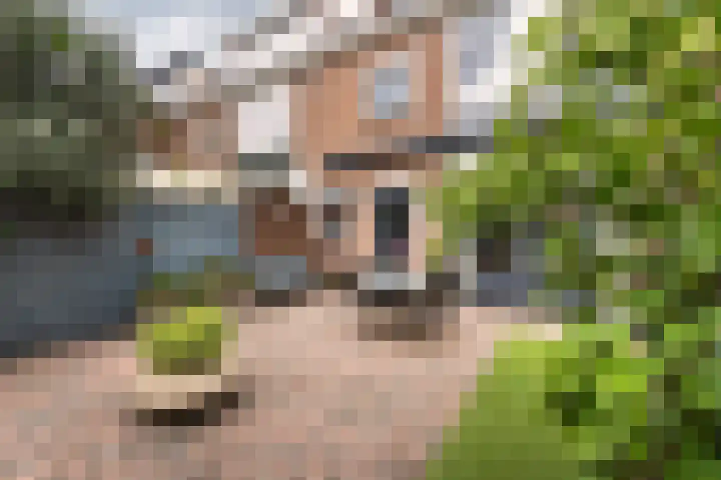Pastoor van Blitterwijckstraat 3 Nijmegen thumbnail 29