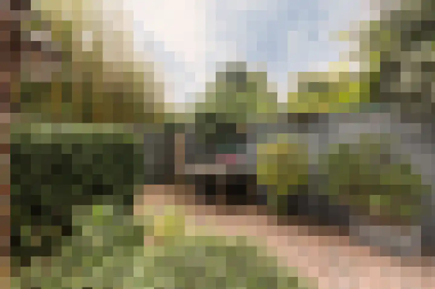 Pastoor van Blitterwijckstraat 3 Nijmegen thumbnail 30