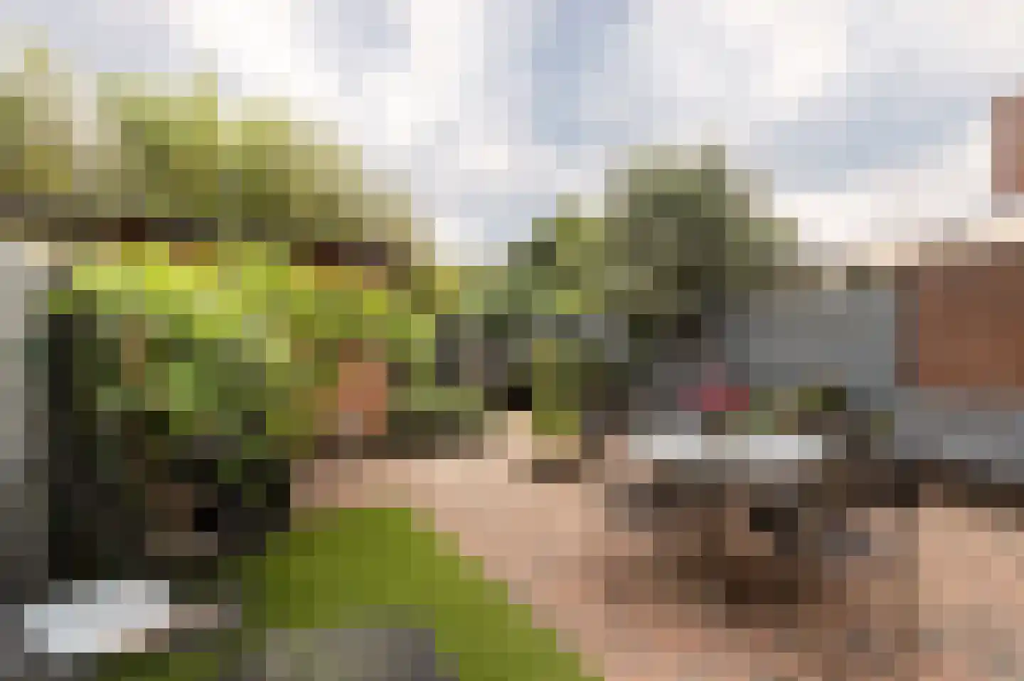 Pastoor van Blitterwijckstraat 3 Nijmegen thumbnail 31
