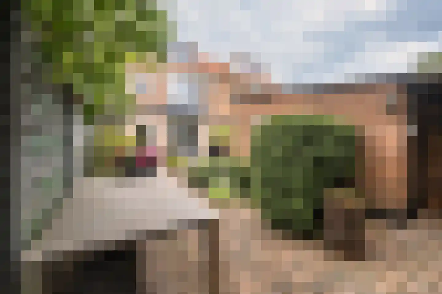 Pastoor van Blitterwijckstraat 3 Nijmegen thumbnail 33