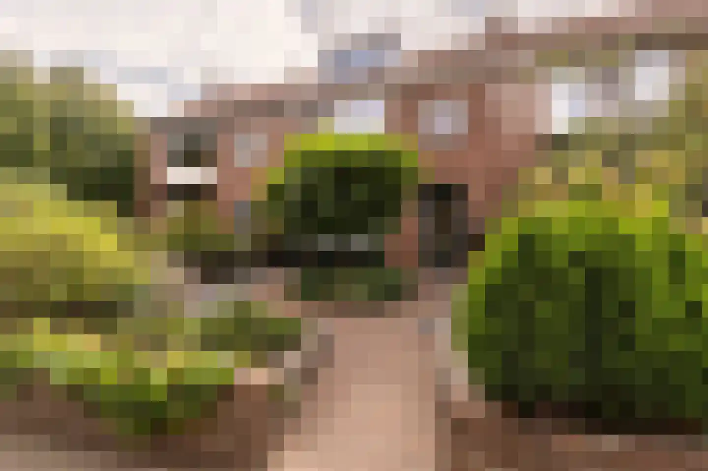 Pastoor van Blitterwijckstraat 3 Nijmegen thumbnail 35