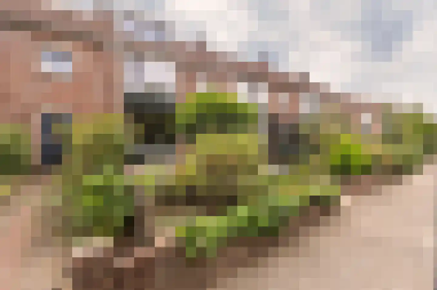 Pastoor van Blitterwijckstraat 3 Nijmegen thumbnail 36
