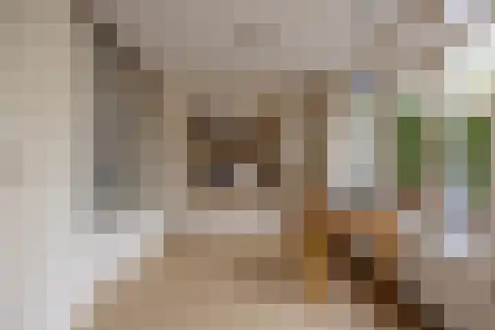 Pastoor van Bommelstraat 4 Nijmegen thumbnail 15