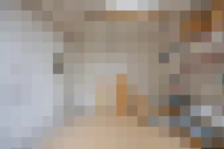 Pastoor van Bommelstraat 4 Nijmegen thumbnail 32