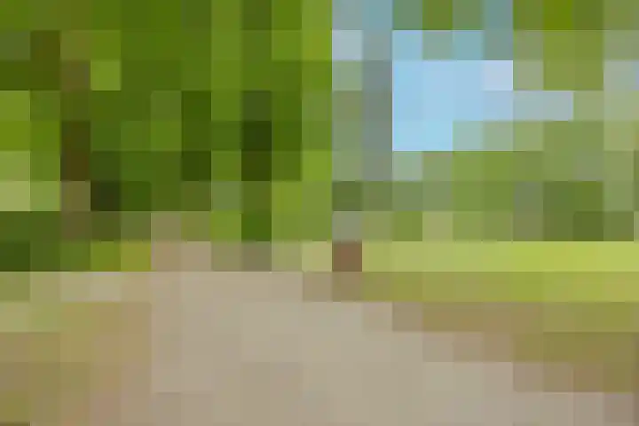 Pastoor van Bommelstraat 4 Nijmegen thumbnail 36
