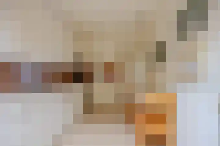 Pastoor van Bommelstraat 4 Nijmegen thumbnail 6