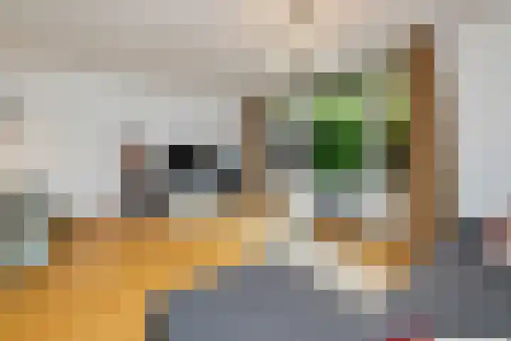 Pastoor van Bommelstraat 9 Nijmegen thumbnail 7