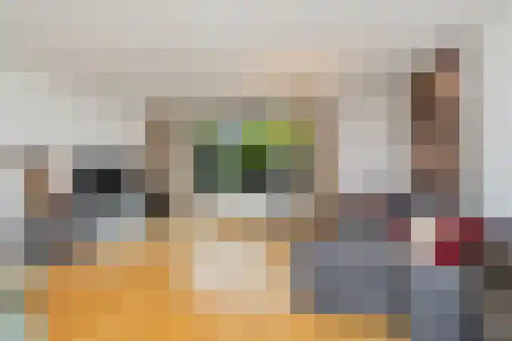 Pastoor van Bommelstraat 9 Nijmegen thumbnail 8