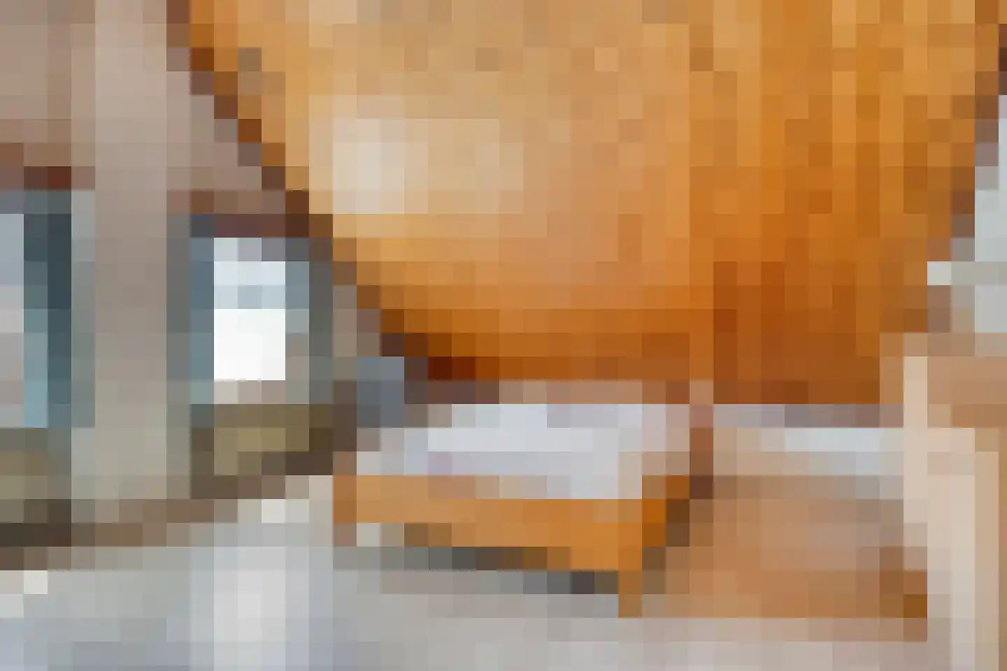 Pastoor van Breugelstraat 18 a Bosschenhoofd thumbnail 20