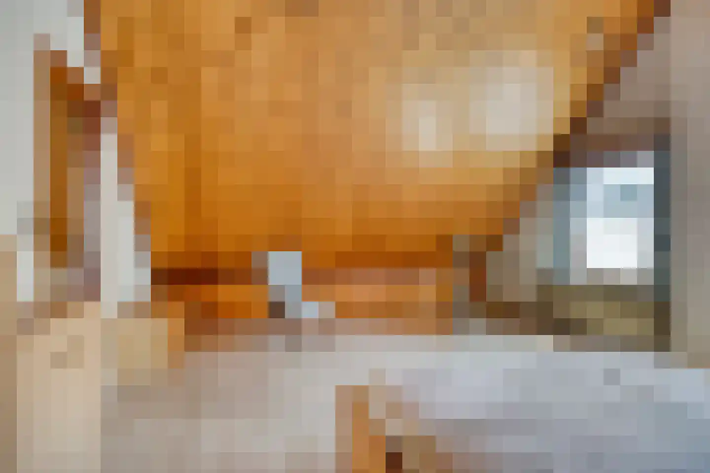 Pastoor van Breugelstraat 18 a Bosschenhoofd thumbnail 21