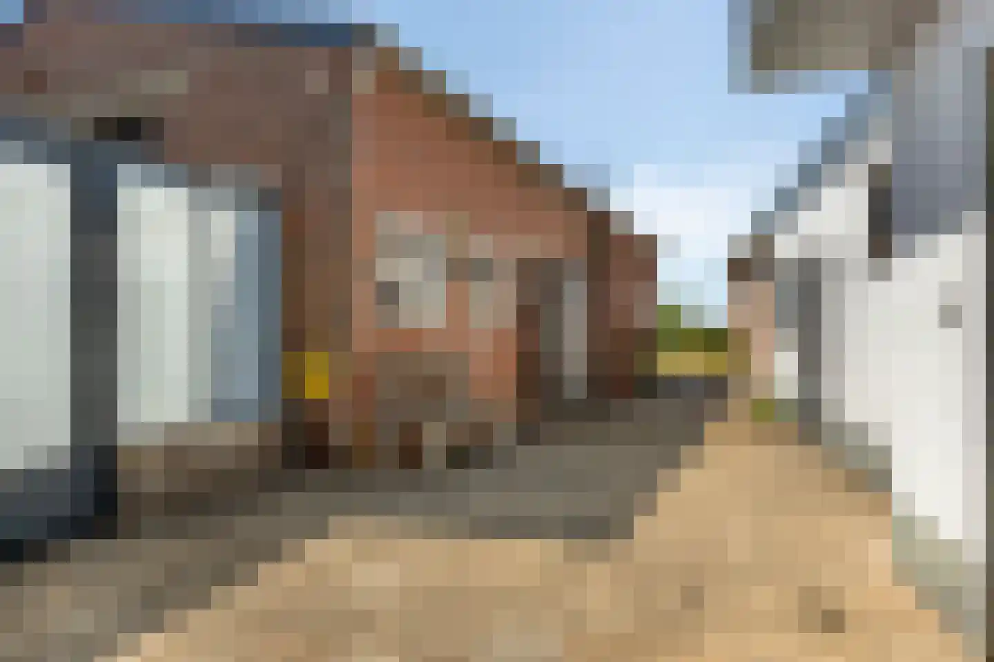 Pastoor van Breugelstraat 18 a Bosschenhoofd thumbnail 29