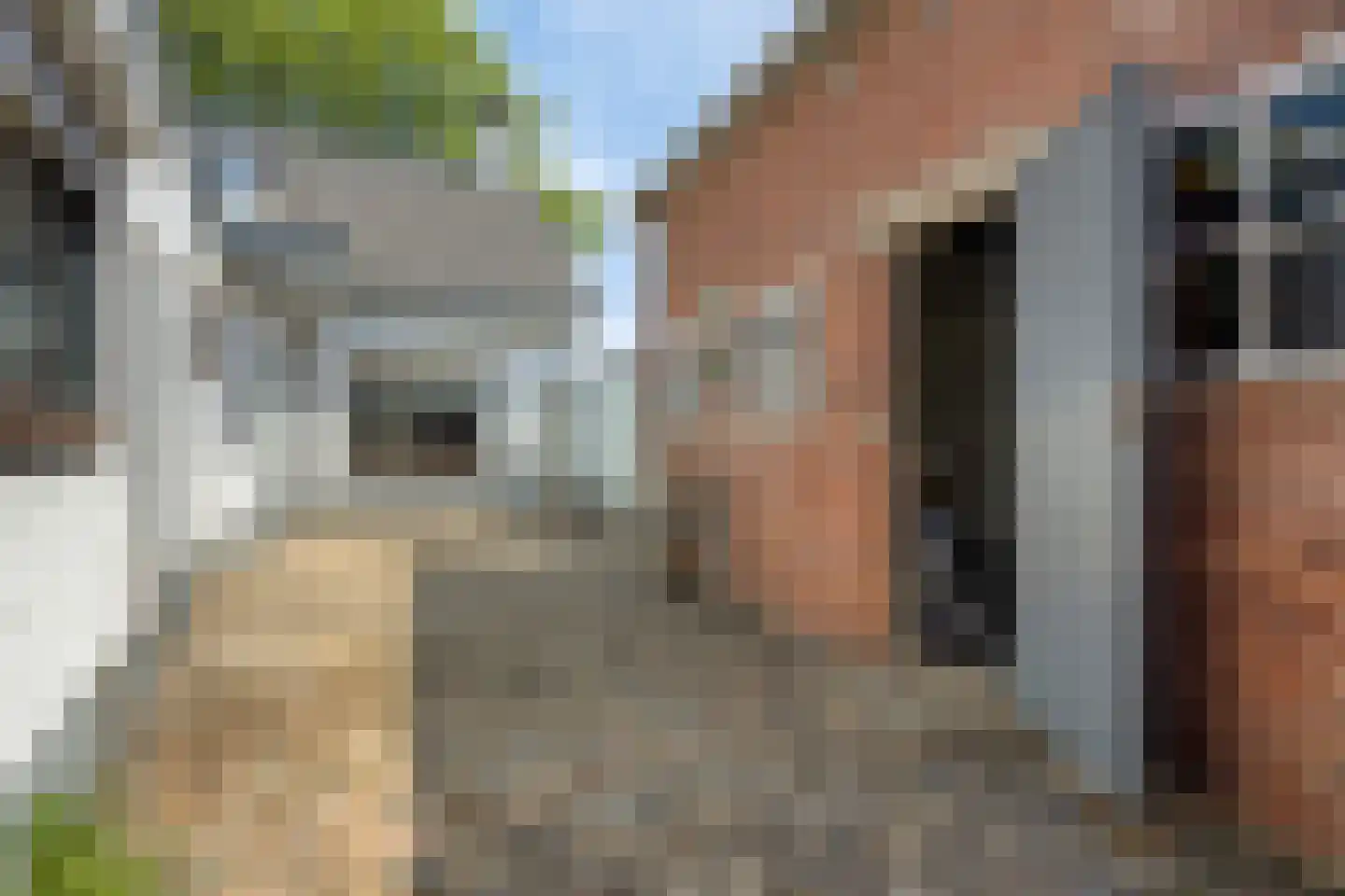 Pastoor van Breugelstraat 18 a Bosschenhoofd thumbnail 30