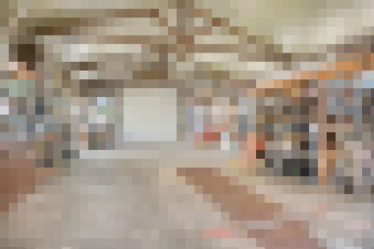 Pastoor van Breugelstraat 18 a Bosschenhoofd thumbnail 34