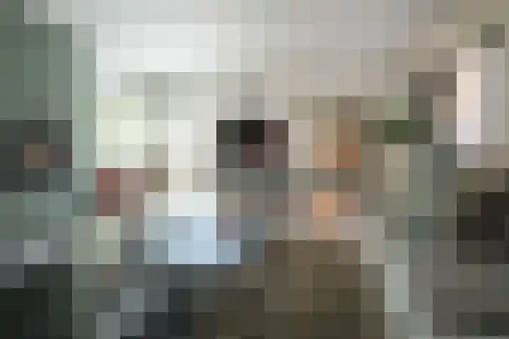 Pastoor van Breugelstraat 20 a Bosschenhoofd thumbnail 10