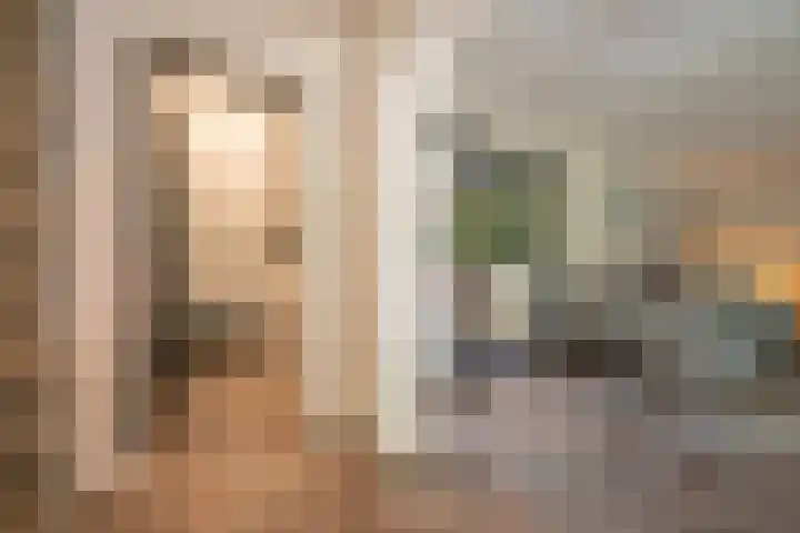 Pastoor van Breugelstraat 20 a Bosschenhoofd thumbnail 15