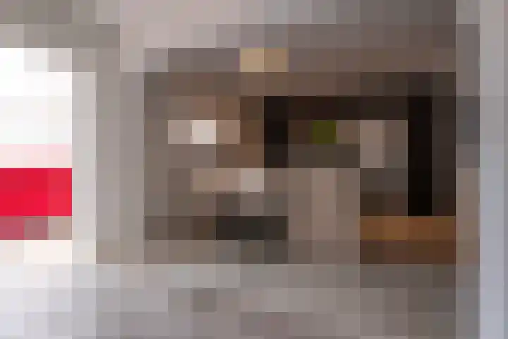 Pastoor van Breugelstraat 20 a Bosschenhoofd thumbnail 21
