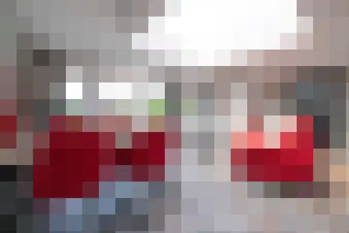 Pastoor van Breugelstraat 20 a Bosschenhoofd thumbnail 23
