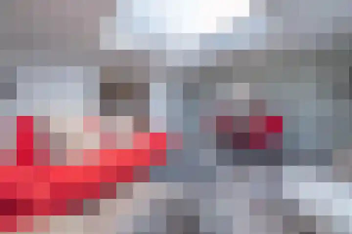 Pastoor van Breugelstraat 20 a Bosschenhoofd thumbnail 25