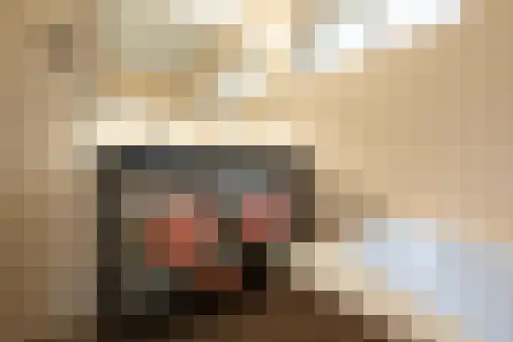 Pastoor van Breugelstraat 20 a Bosschenhoofd thumbnail 31