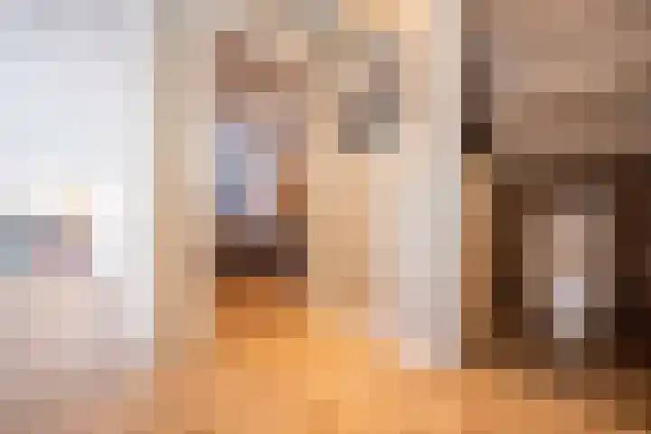 Pastoor van Breugelstraat 20 a Bosschenhoofd thumbnail 34