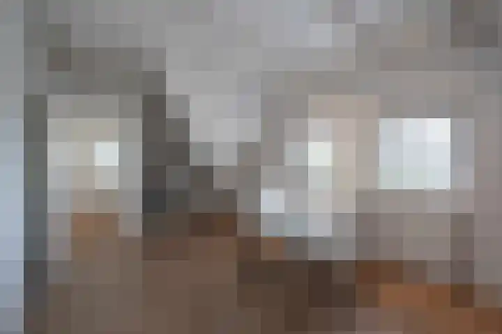 Pastoor van Breugelstraat 20 a Bosschenhoofd thumbnail 36