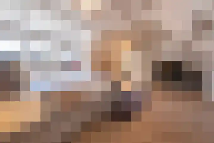 Pastoor van Breugelstraat 20 a Bosschenhoofd thumbnail 38
