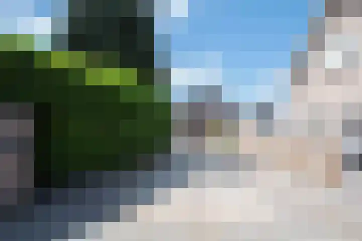 Pastoor van Breugelstraat 20 a Bosschenhoofd thumbnail 4