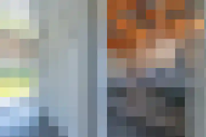 Pastoor van Breugelstraat 20 a Bosschenhoofd thumbnail 47