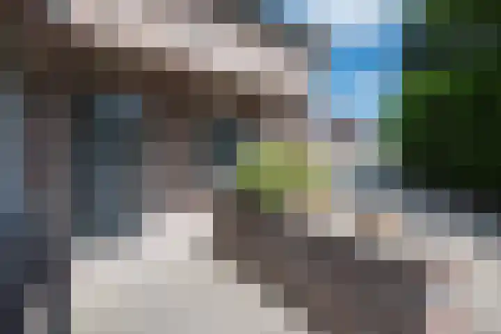 Pastoor van Breugelstraat 20 a Bosschenhoofd thumbnail 6