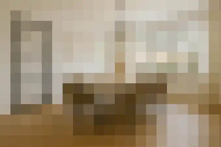 Pastoor van Breugelstraat 60 Bosschenhoofd thumbnail 11