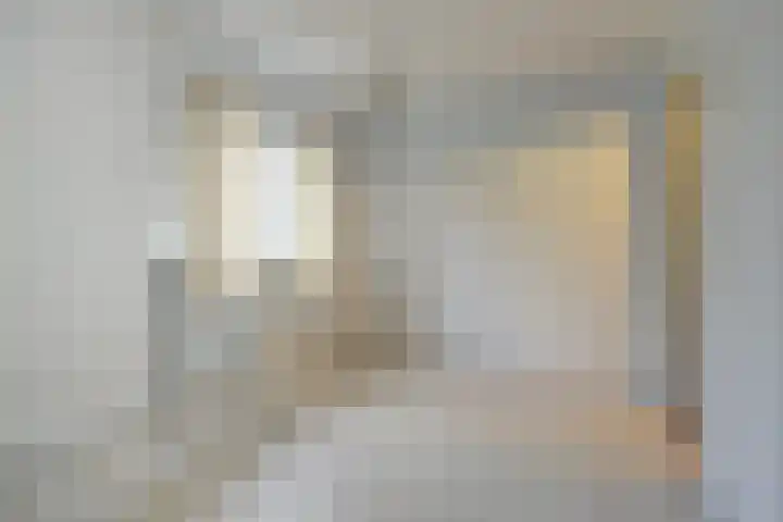 Pastoor van Breugelstraat 60 Bosschenhoofd thumbnail 17