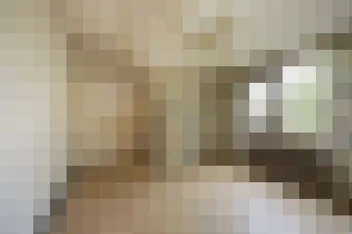 Pastoor van Breugelstraat 60 Bosschenhoofd thumbnail 22