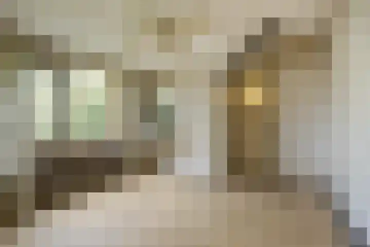 Pastoor van Breugelstraat 60 Bosschenhoofd thumbnail 23