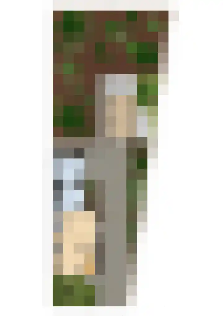 Pastoor van Breugelstraat 60 Bosschenhoofd thumbnail 33