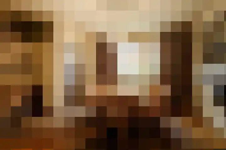 Pastoor van Breugelstraat 60 Bosschenhoofd thumbnail 8