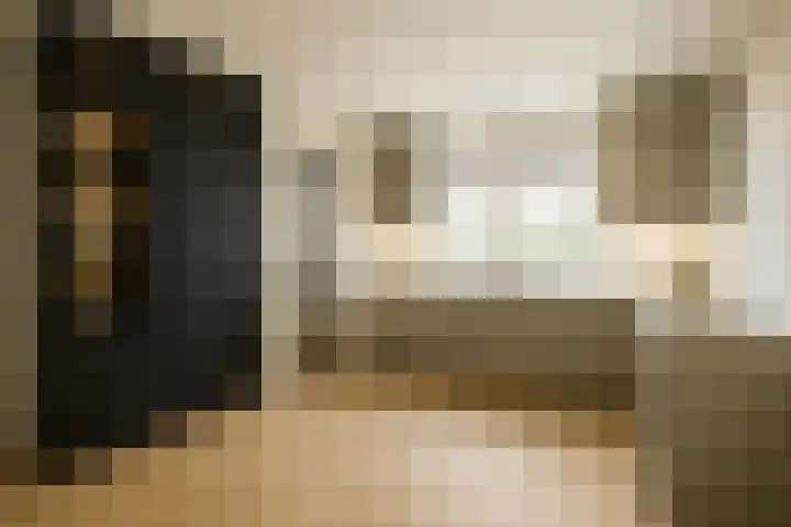 Pastoor van Breugelstraat 60 Bosschenhoofd thumbnail 9