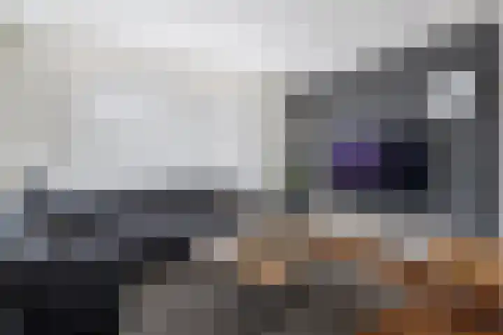 Pastoor van Breugelstraat 67 Bosschenhoofd thumbnail 10