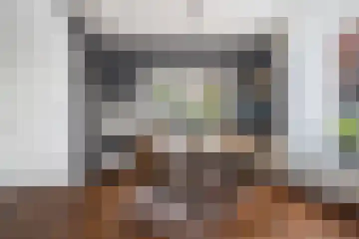 Pastoor van Breugelstraat 67 Bosschenhoofd thumbnail 11