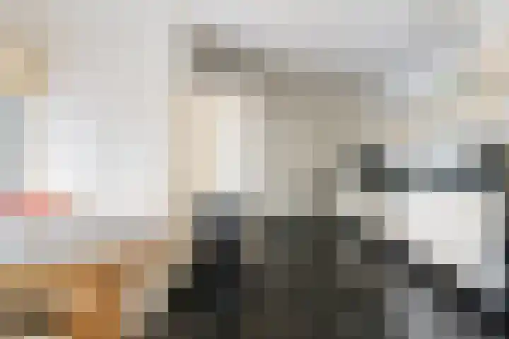Pastoor van Breugelstraat 67 Bosschenhoofd thumbnail 17