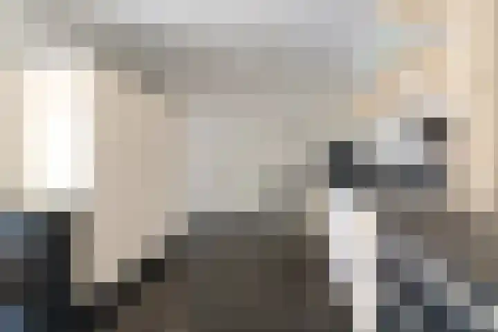 Pastoor van Breugelstraat 67 Bosschenhoofd thumbnail 18