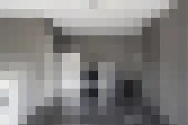 Pastoor van Breugelstraat 67 Bosschenhoofd thumbnail 31