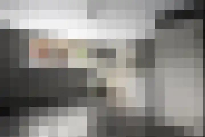 Pastoor van Breugelstraat 67 Bosschenhoofd thumbnail 32