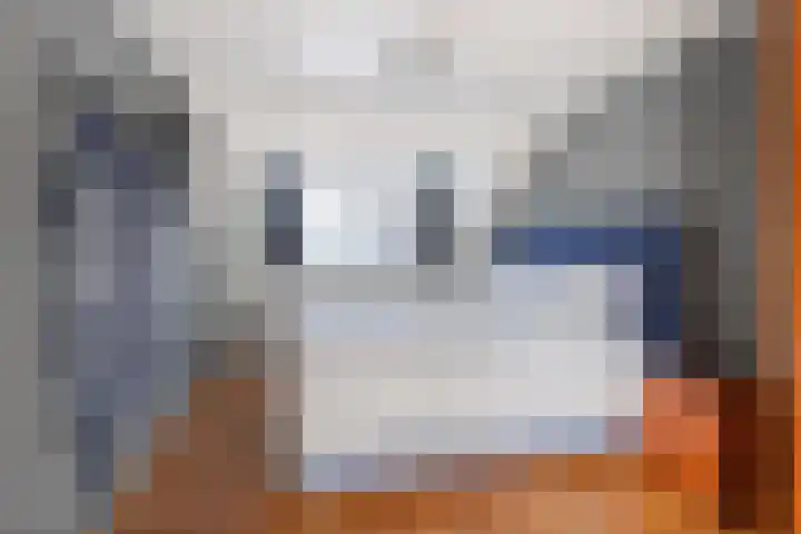 Pastoor van Breugelstraat 67 Bosschenhoofd thumbnail 35