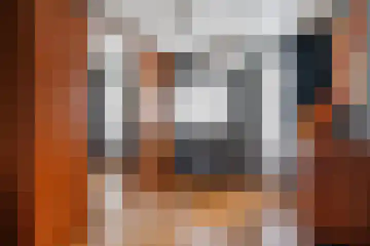 Pastoor van Breugelstraat 67 Bosschenhoofd thumbnail 37