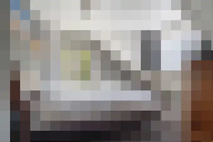 Pastoor van Breugelstraat 67 Bosschenhoofd thumbnail 38