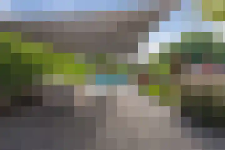 Pastoor van Breugelstraat 67 Bosschenhoofd thumbnail 4